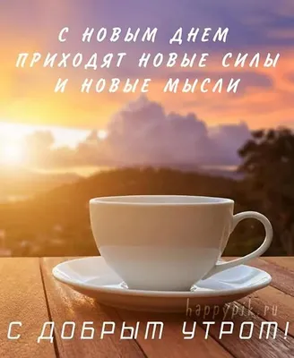 Открытка "Доброго утра вторника!", с ёжиком и пожеланием • Аудио от Путина,  голосовые, музыкальные