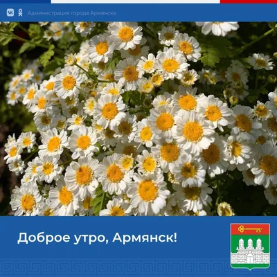 Доброе утро, Армянск. Желаем всем хорошей пятницы и отличных выходных -  Лента новостей Крыма