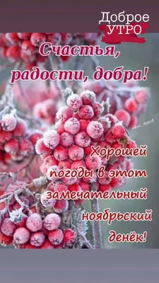 Доброе утро, продолжаем марафон хорошей погоды, отличного катания☀️ UPD   - преимущественно ясно в утренние часы, после  -… | Instagram