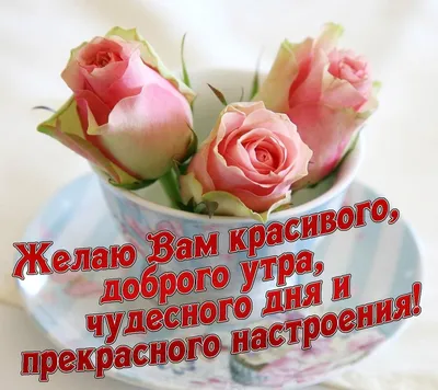 veronika smolkova on X: "@_6396377461662 С добрым утром,Руженочка,с бодрой  силой,с хорошим настроением,с новой надеждой,с большой радостью! Желаю  встретить этот день уверенно и весело, а провести его успешно и красиво!  Пусть все у