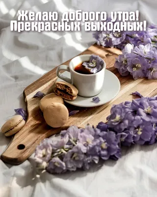 Картинки с Добрым утром и Хороших выходных (165 шт.)