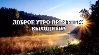 Доброе осеннее утро субботы - самые новые картинки (42 ФОТО) | Праздничные  открытки, Простые цветочные композиции, Поздравительные открытки