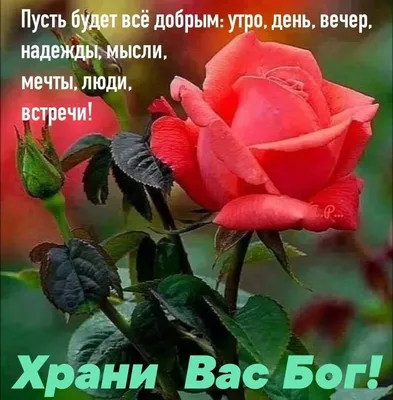 Пожелания хорошего дня в картинках, своими словами, в стихах, в смс и  христианские пожелания доброго дня — Украина