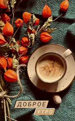 доброе утро эстетика,кофе,осень,цветы,пожелания,картинки для настроения в  2023 г | Осенние цветы, Цветы, Доброе утро