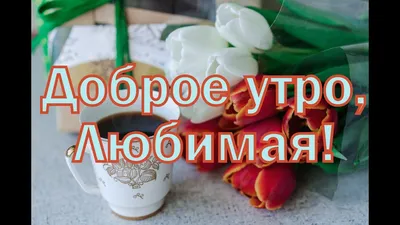 Доброе утро ✨💖Милая ,пушистая …» — создано в Шедевруме