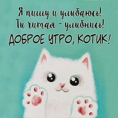 Доброе утро котик картинки