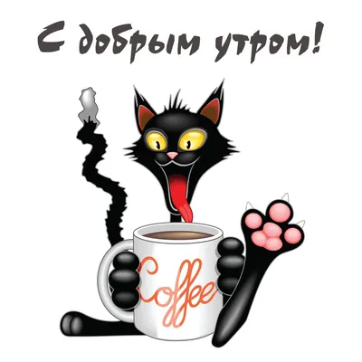 🎀Доброе утро всем!☀️ Впереди плодотворная неделя!😍 | Good morning, Cats,  Humor