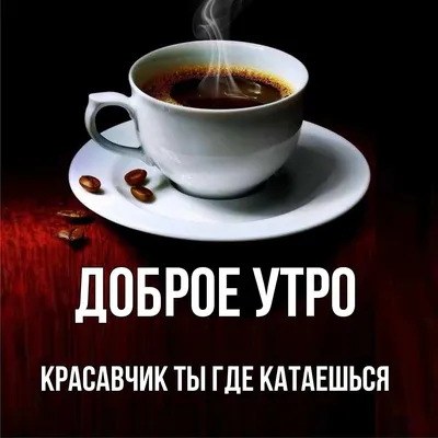 Картинка - ХОРОШЕГО УТРА, КРАСАВЧИК..