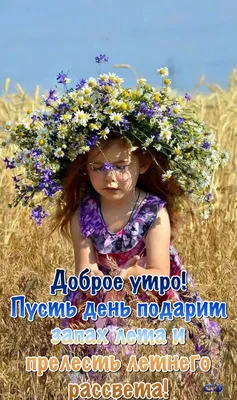 ДОБРОЕ УТРО! 🍃🌼🌾💐🌾🌼🌿 ЛЕТО! | Пейзажи, Доброе утро, Веселые картинки