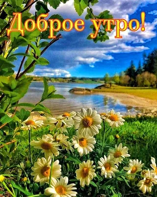 Доброе утро! 💝 | Доброе утро, Цитаты про лето, Счастливые картинки