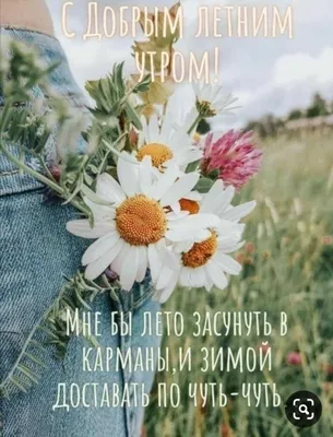 ДОБРОЕ УТРО, 🌸💐🌞🌿🌸 ЛЕТО! | Доброе утро, Простые цветочные композиции,  Открытки