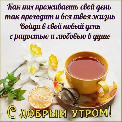 Создать мем "доброго утра, красивые цветы, доброе утро красивые цветы" -  Картинки - 