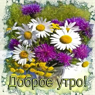 Доброе утро! 💝 | Открытки, Доброе утро, Праздничные открытки