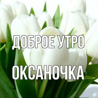 Открытка с именем Ксюша Доброе утро цветочки утро. Открытки на каждый день  с именами и пожеланиями.