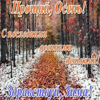 Доброго утра и хорошего дня картинки природы (44 фото) » Красивые картинки,  поздравления и пожелания - 