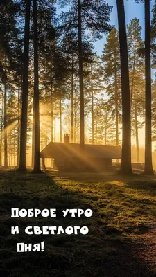 Зимние открытки "Доброго утра!" (236 шт.)