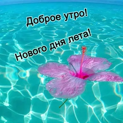 Открытки доброе летнее утро доброе утро...