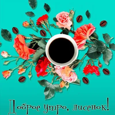 ВТОРНИК! 🌞 ДОБРОЕ УТРО! 🌸💗🌼💐🌺🌿🌼💗🌸 УДАЧНОГО ДНЯ! | Лисенок,  Анимация, Смешные животные