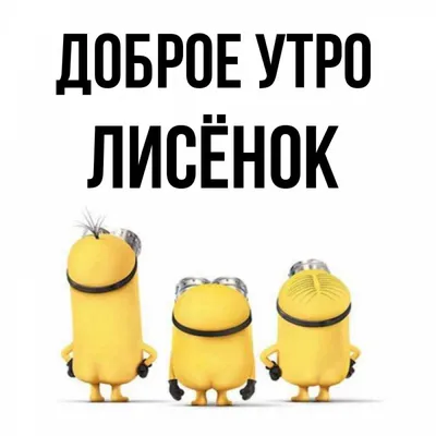 Анна Романова on Instagram: "Утро доброе🦊🌷 У меня опять лисенок (12 см) и  он, как и красная панда, тоже летит в Литву✈️❤️"