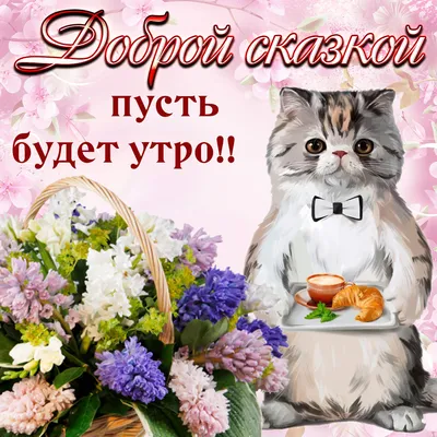 доброе утро с котиками картинки｜Поиск в TikTok