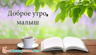 Картинки любимому мужчине С добрым утром ☀️⏰ - скачать (129 шт.)