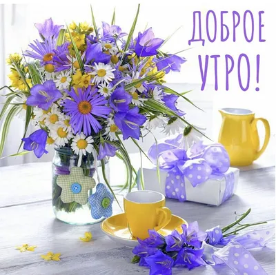 F@ya Vip | "А в садах бушует май". #доброе утро #хорошего настроения #мои  видео #фото каждый день #красивая природа #утро доброе | Дзен