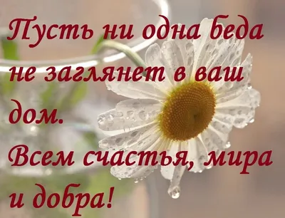 Доброе утро сестренка картинки с пожеланиями здоровья и счастья (44 фото) »  Красивые картинки, поздравления и пожелания - 