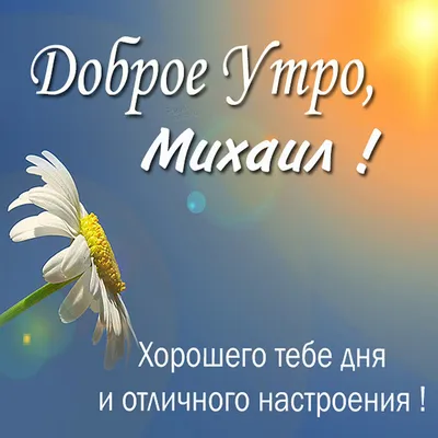 Доброе утро миша #3