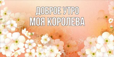 Открытка с именем Моя королева Доброе утро цветочки утро. Открытки на  каждый день с именами и пожеланиями.