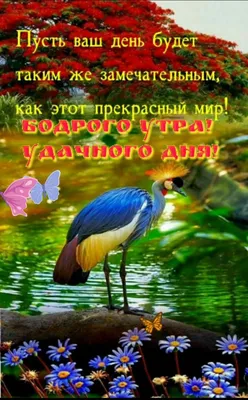 Картинки "С Добрым Утром, Любимая!" (252 шт.)