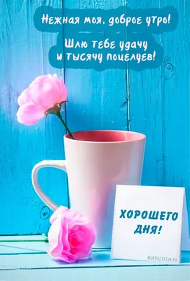 Кто или что стучит в вашу дверь? РАСКЛАД ТАРО на 3 варианта | ЗНАКИ ТАРО |  Дзен