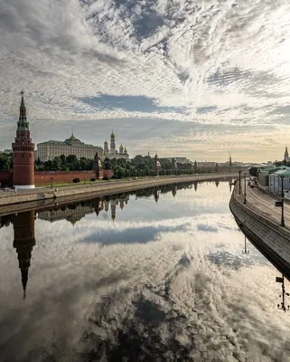 Книга "Доброе утро, я люблю тебя! Практики осознанности и самосострадания  на каждый день" Шапиро Ш - купить книгу в интернет-магазине «Москва» ISBN:  978-5-04-118755-2, 1116531