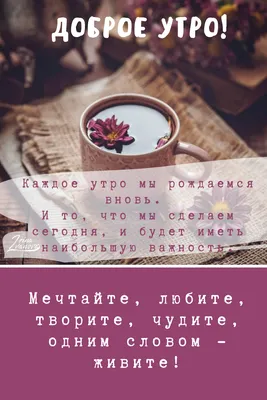 Доброе утро! 💝 | Доброе утро, Мотивация, Цитаты про доброе утро