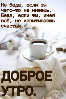 Доброе, да не очень...😣Это я про утро..... | Вечно стройнеющий , философ -  юморист. | Дзен