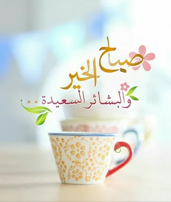 Untitled | Beautiful morning messages, Good morning arabic, Good night  sister