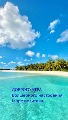 Картинки отличного дня и море позитива (64 фото) » Картинки и статусы про  окружающий мир вокруг