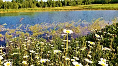 Утро полное надежд картинки (46 фото) » Красивые картинки, поздравления и  пожелания - 