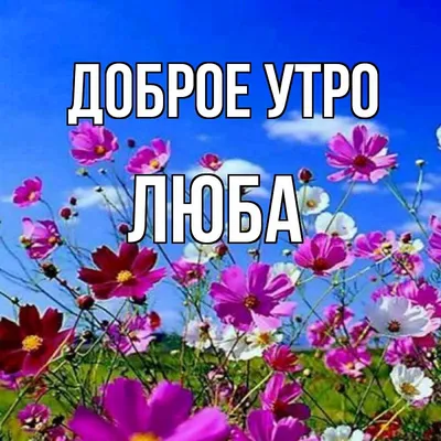 Olgа🌺🌿 on Twitter: "@Nataly300474 Доброе утро, Наташа!  /OIB4K3rCON" / Twitter