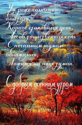 Николай - 😀#доброеутро #работа #кофе | Facebook