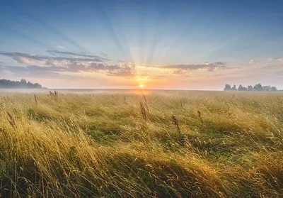 Доброе утро! ☀️ ⠀ Из последних новостей: ⠀ 🇷🇺 Антон Шунин, Николай  Комличенко и Даниил Фомин вернулись из сборной России, а Игорь… | Instagram