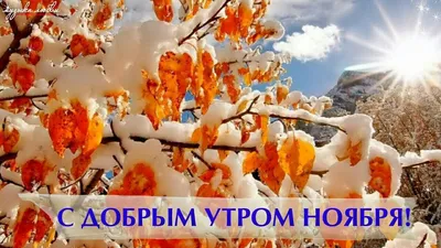 Идеи на тему «Ноябрь» (50) | ноябрь, доброе утро, открытки