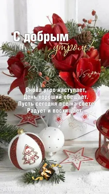 Pin by Светлана on Доброе утро | Christmas ornaments, Christmas mood,  Christmas time