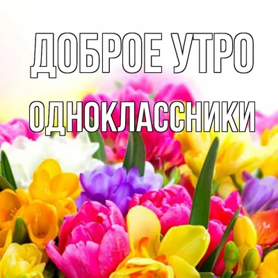 Доброе утро и хорошего дня ~ Открытка (плейкаст)