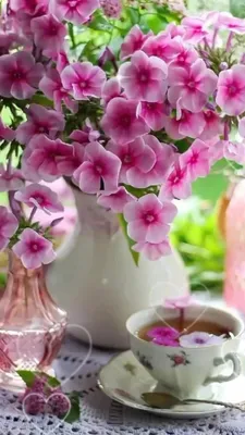 Орхидеи мира - Доброе утро! Приятной среды! Фото: Оксана... | Facebook