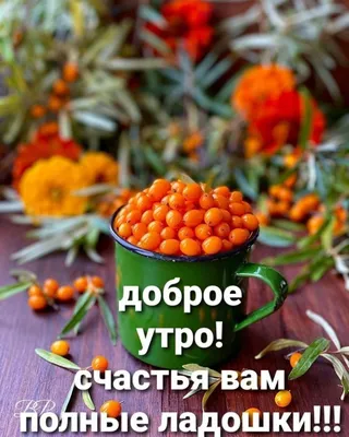 Картинки с надписью - С добрым утром октября! Благотворного дня!.