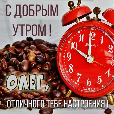 Олег Митяев — С добрым утром, любимая! | TikTok