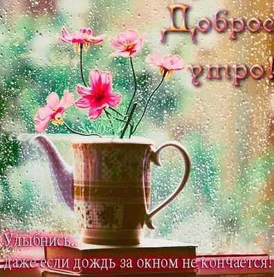 Доброе утро всем! #доброеутро #позитив #утро #ос... ᐈ Ольга Голубь  (@g0luboa_68) | Yappy