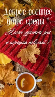 Кружка luzimuzi "Утро доброе, а Ольга нет", 330 мл - купить по доступным  ценам в интернет-магазине OZON (360463924)