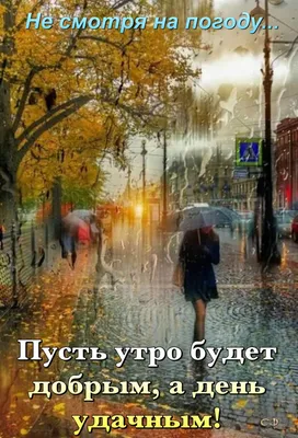 Пин от пользователя Светлана на доске Доброе утро | Осенние картинки,  Осенние цветы, Осень