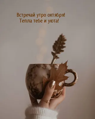 Красивые открытки "Доброго осеннего утра!" (403 шт.)